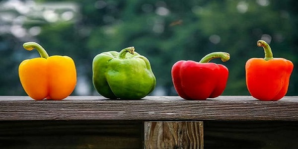 تصویر 4 از قیمت خرید فلفل دلمه ای خام + فروش ویژه